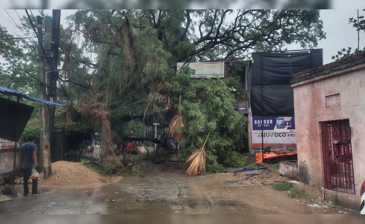 Bihar Weather: बिहार में आंधी-पानी और ठनका का कहर, किसान का चेहरा झुलसा... जल उठा हरा पेड़, पटना हुआ ब्लैकआउट