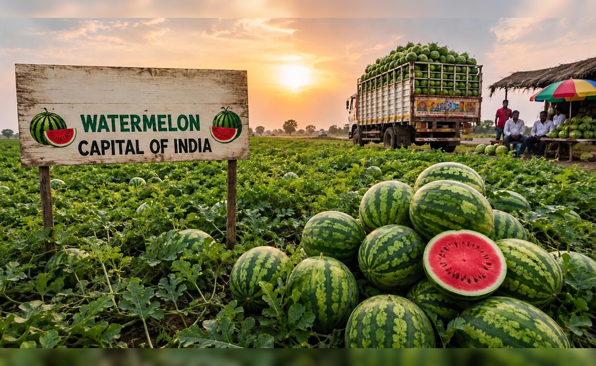 भारत की Watermelon Capital कौन सा शहर है? गर्मी आते ही यहां हर तरफ दिखते हैं सिर्फ तरबूज ही तरबूज!