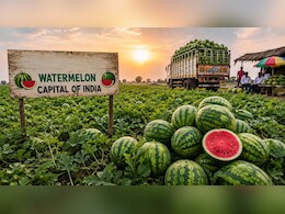 भारत की Watermelon Capital कौन सा शहर है? गर्मी आते ही यहां हर तरफ दिखते हैं सिर्फ तरबूज ही तरबूज!