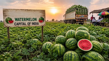 भारत की Watermelon Capital कौन सा शहर है? गर्मी आते ही यहां हर तरफ दिखते हैं सिर्फ तरबूज ही तरबूज!