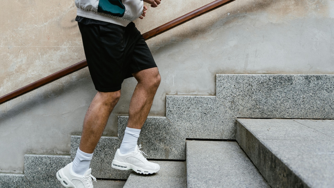 Myntra Grand Summer Sale: Cult And Cava Mens Sportswear Deals At 40% Off