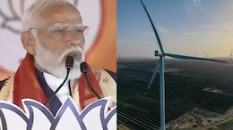 Renewable Energy Capacity Up 20%: How Much Will India Save On Fuel Imports?