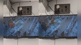 दो सालियों की हत्या के बाद मेडिकल स्टोर में भी फायरिंग, रोंगटे खड़े कर देने वाला CCTV फुटेज आया सामने