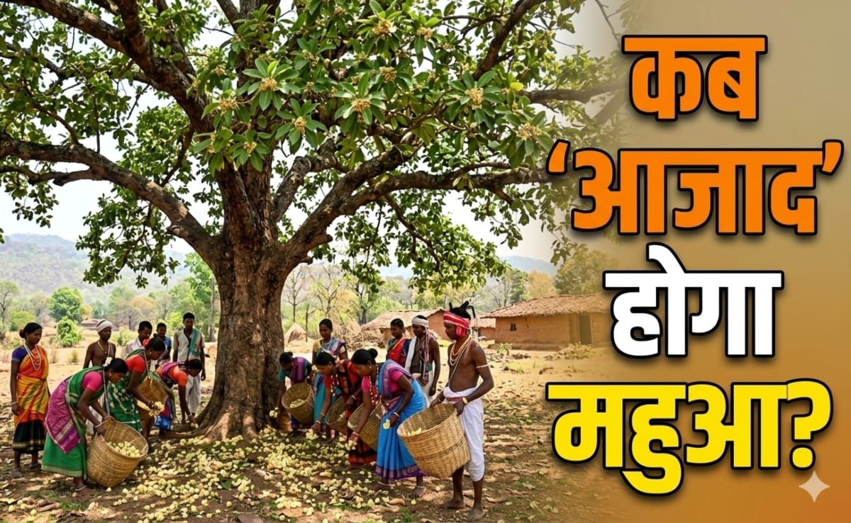 क्या कभी आजाद हो पाएगा 'महुआ',आदिवासी इकोनॉमी को कैसे कर सकता है बूस्ट