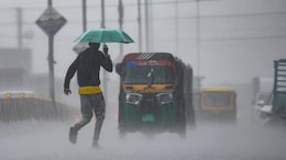 भिंड में तेज आंधी और बारिश से 3 की मौत, रीवा में सुबह हुई बरसात से बदला मौसम का मिजाज