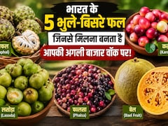 Forgotten Indian Fruits: कभी गर्मियों की शान हुआ करते थे ये देसी फल, अब नई पीढ़ी भी भूल रही इनके नाम