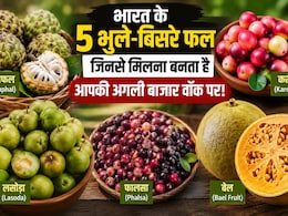Forgotten Indian Fruits: कभी गर्मियों की शान हुआ करते थे ये देसी फल, अब नई पीढ़ी भी भूल रही इनके नाम