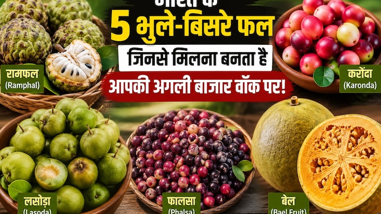 Forgotten Indian Fruits: कभी गर्मियों की शान हुआ करते थे ये देसी फल, अब नई पीढ़ी भी भूल रही इनके नाम
