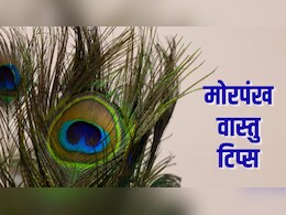 Peacock Feather Vastu Tips: पूजा घर से लेकर बेडरूम तक, जानिए घर में कहां रखना शुभ माना जाता है मोरपंख