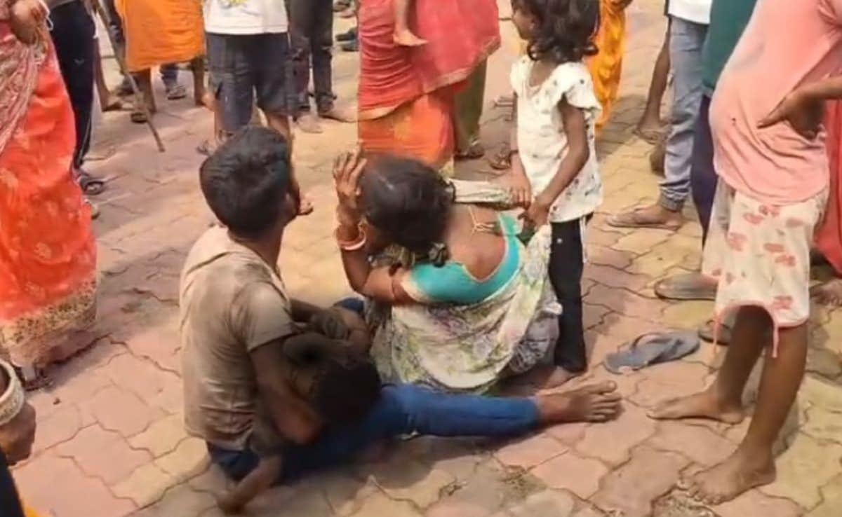 धनबाद में आवारा कुत्तों के झुंड ने 5 साल के मासूम को नोंच-नोंच कर मार डाला, परिजनों का रो-रोकर बुरा हाल