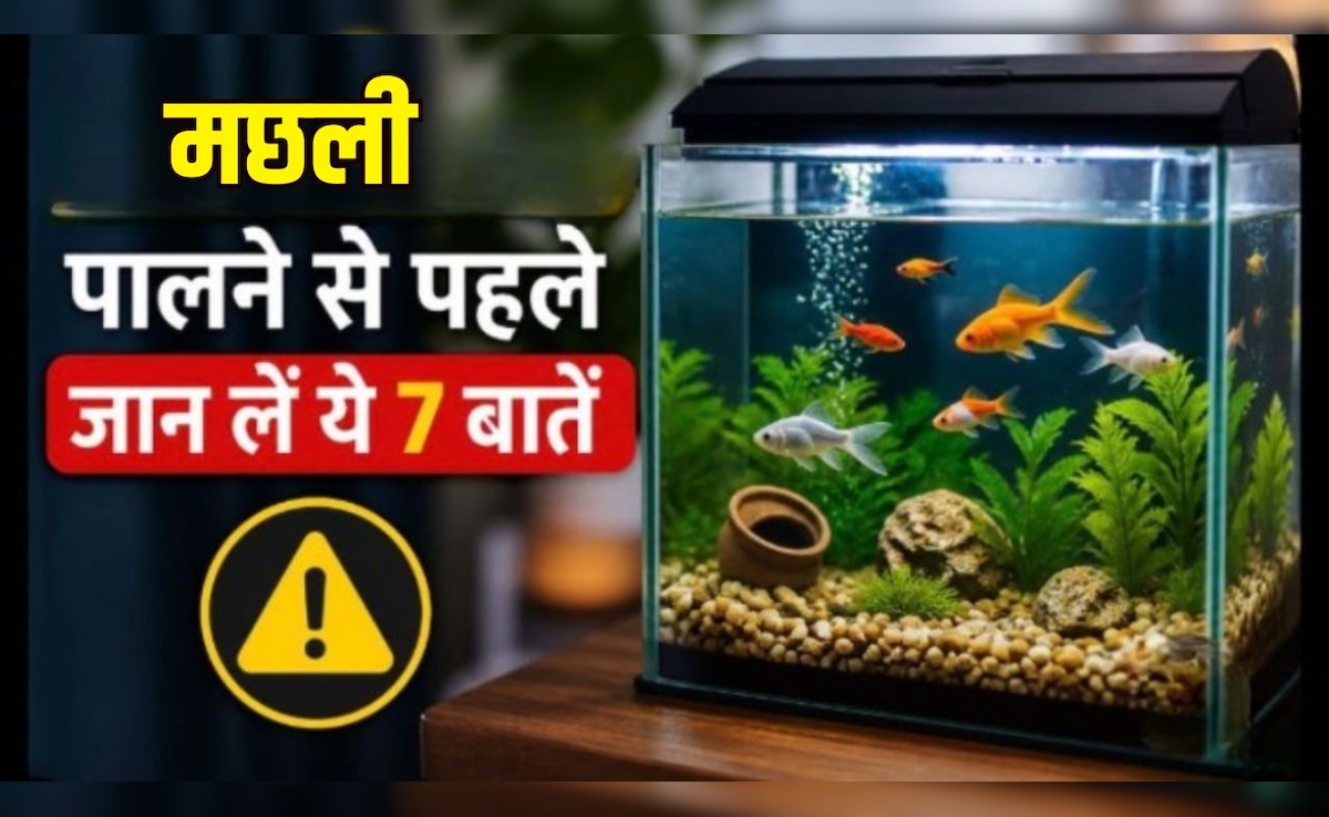 Aquarium में मछली पालने से पहले जान लें ये 7 जरूरी बातें, वरना जल्दी मर सकती हैं मछलियां