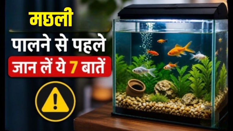 Aquarium में मछली पालने से पहले जान लें ये 7 जरूरी बातें, वरना जल्दी मर सकती हैं मछलियां