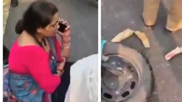 स्कूटी से टक्कर के बाद टूटा जंगली हाथी का दांत... 3 टुकड़े हुए, महिला शिक्षिका घायल&nbsp;