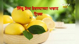 Secret Tips: महिनाभर लिंबू ताजे ठेवण्याच्या भन्नाट 'सीक्रेट ट्रिक', 90 टक्के लोकांना माहितच नाही