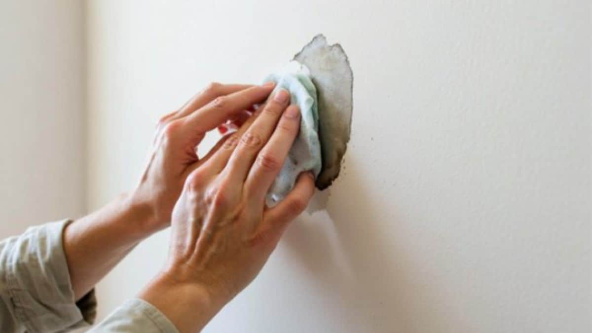 Say goodbye to stained walls with easy DIY cleaning methods that completely skip the paint. Say goodbye to stained walls with easy DIY cleaning methods that completely skip the paint.