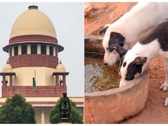 सुप्रीम कोर्ट ने कॉलेज कैंपसों में आवारा कुत्ते रखने की दी छूट, लेकिन  NALSAR को माननी होगी ये शर्त