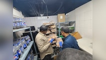 Black, Unsafe Cooking Oil Found At Hyderabad KFC During A Surprise Raid