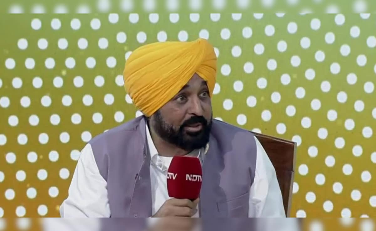 "Public Won't Trust Raghav Chadha Again": Bhagwant Mann To NDTV