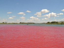 Which River Is Called The "River Of Blood" Of India?