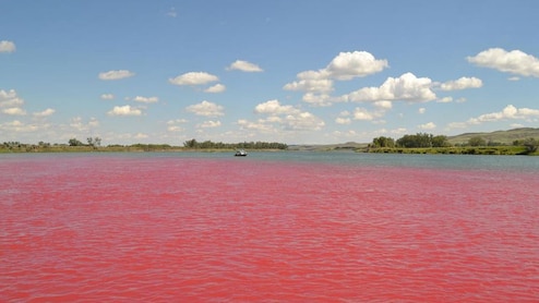 Which River Is Called The "River Of Blood" Of India?