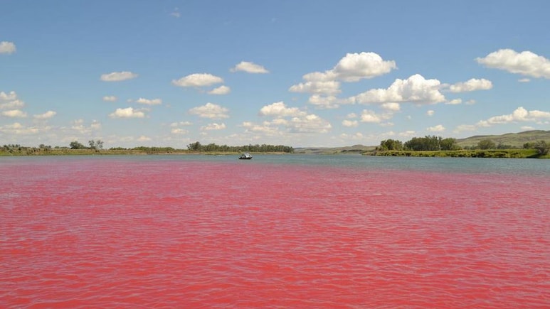 Which River Is Called The "River Of Blood" Of India?