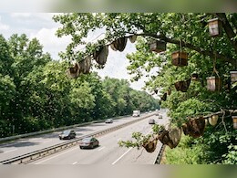 Bee Corridor Project: हाईवे बनेंगे मधुमक्खियों का घर! NHAI का ओडिशा में लॉन्च करेगा ग्रीन मिशन
