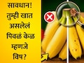 Fake Bananas: नैसर्गिक की केमिकलयुक्त धोकादायक केळ? खरेदीपूर्वी 6 ट्रिक्सद्वारे ओळखा फरक, 10 सेकंदाचा फॉर्म्युला येईल कामी