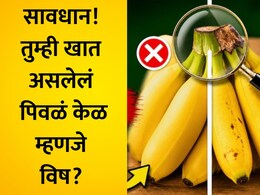 Fake Bananas: नैसर्गिक की केमिकलयुक्त धोकादायक केळ? खरेदीपूर्वी 6 ट्रिक्सद्वारे ओळखा फरक, 10 सेकंदाचा फॉर्म्युला येईल कामी