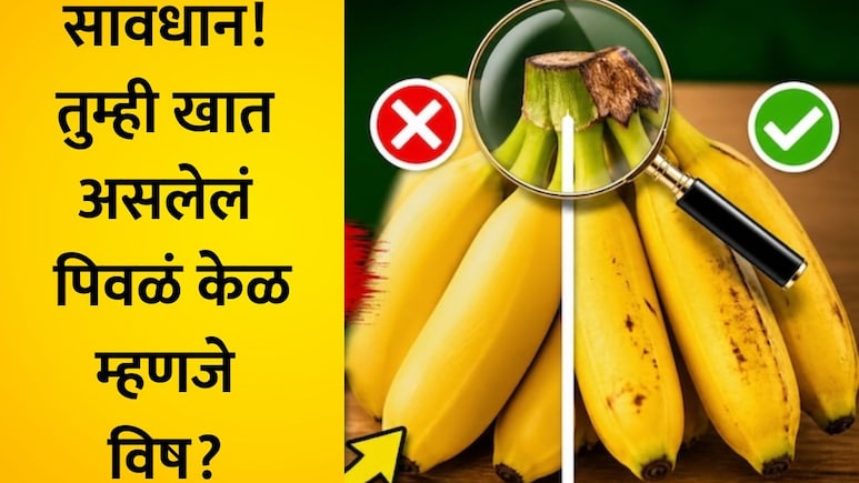 नैसर्गिक की केमिकलयुक्त धोकादायक केळ? खरेदीपूर्वी 6 ट्रिक्सद्वारे ओळखा फरक, 10 सेकंदाचा फॉर्म्युला येईल कामी
