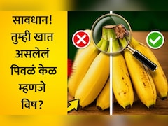 नैसर्गिक की केमिकलयुक्त धोकादायक केळ? खरेदीपूर्वी 6 ट्रिक्सद्वारे ओळखा फरक, 10 सेकंदाचा फॉर्म्युला येईल कामी