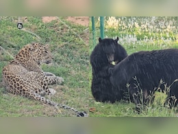 Cooling Systems, Dietary Changes: Heatwave Relief Efforts At Jammu Zoo