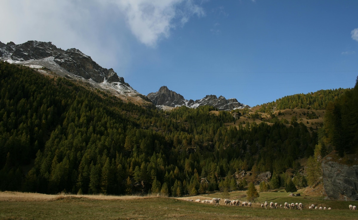 Story image