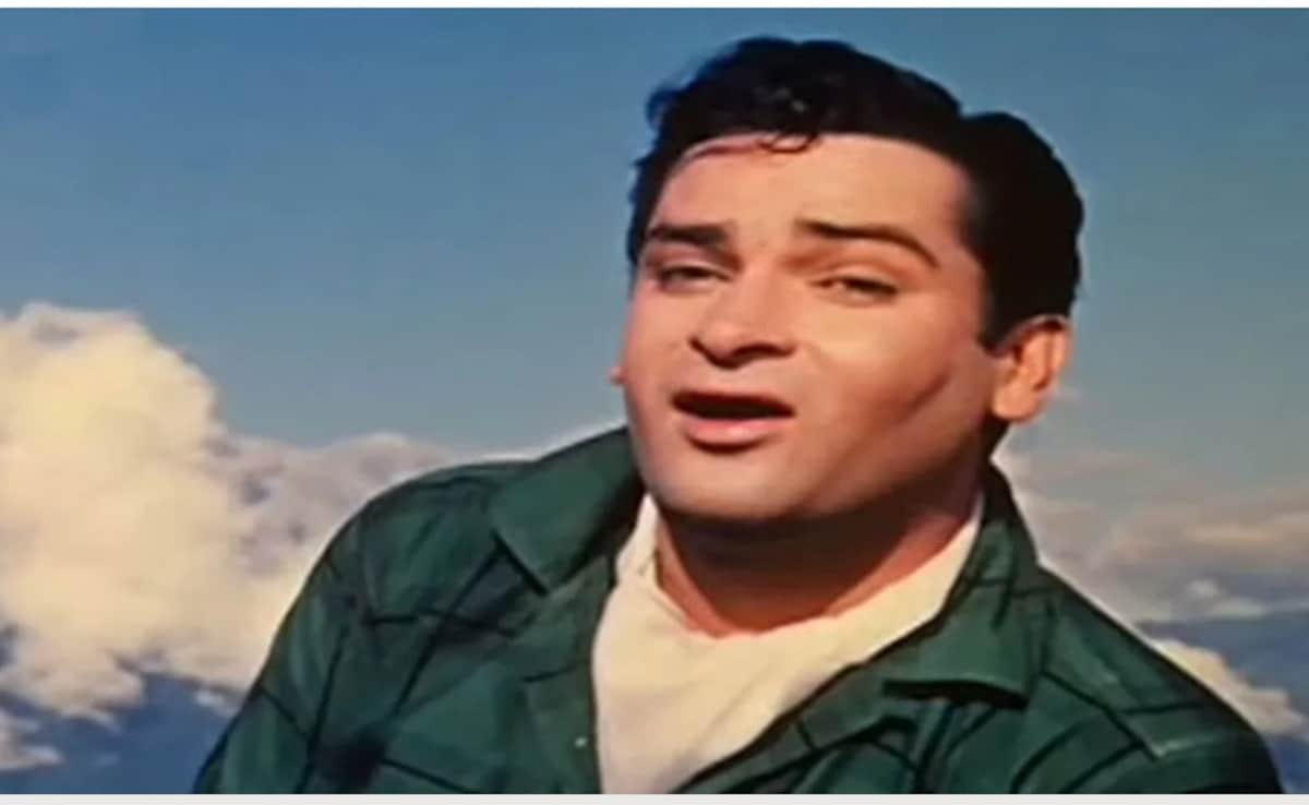 वही चेहरा, वहीं स्टाइल और वही एनर्जी, शम्मी कपूर के हमशक्ल को देख फैंस हुए हैरान बोले- यह पुनर्जन्म तो नहीं ?