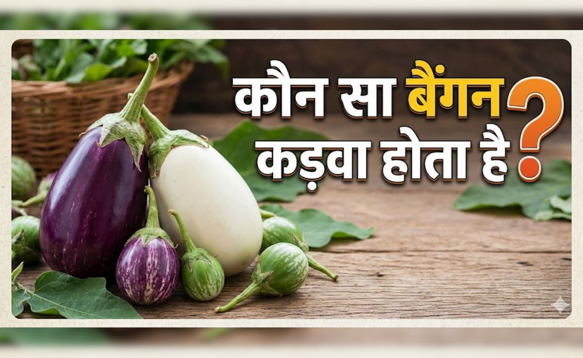 बिना ये 1 चीज चेक किए बाजार से कभी बैंगन मत खरीदना, नहीं तो निकल सकता है कड़वा! — WellsTrack