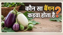 बिना ये 1 चीज चेक किए बाजार से कभी बैंगन मत खरीदना, नहीं तो निकल सकता है कड़वा!