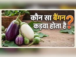 बिना ये 1 चीज चेक किए बाजार से कभी बैंगन मत खरीदना, नहीं तो निकल सकता है कड़वा!