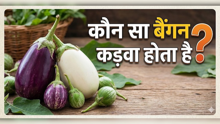 बिना ये 1 चीज चेक किए बाजार से कभी बैंगन मत खरीदना, नहीं तो निकल सकता है कड़वा!