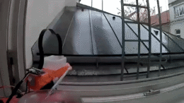 AI Is Now Spraying Pigeons Off People's Balconies And The Internet Is Shocked