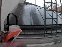 AI Is Now Spraying Pigeons Off People's Balconies And The Internet Is Shocked