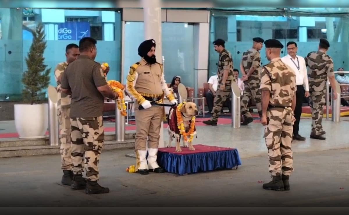5 साल की वफादार सर्विस, फिर सम्मानजनक रिटायरमेंट; अमृतसर एयरपोर्ट पर CISF के डॉग की भावुक विदाई