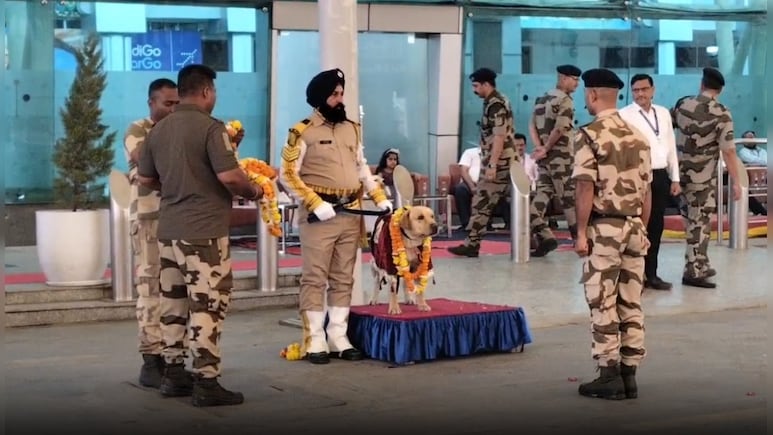 5 साल की वफादार सर्विस, फिर सम्मानजनक रिटायरमेंट; अमृतसर एयरपोर्ट पर CISF के डॉग की भावुक विदाई
