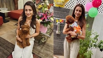 Inside Trisha's Rs 10 Crore Chennai Home With Wooden Floors, A Walk-In Closet