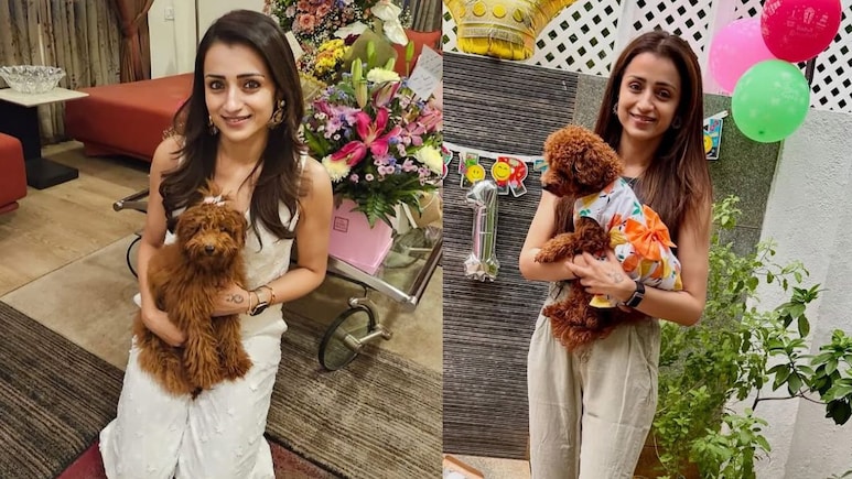 Inside Trisha Krishnan's Rs 10 Crore Chennai Home With Wooden Floors And A Walk-In Closet