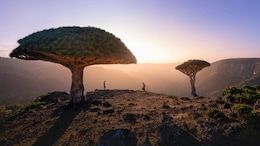 Which Place Is Known As The Galapagos Of The Indian Ocean?