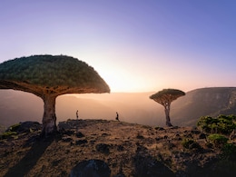 Which Place Is Known As The Galapagos Of The Indian Ocean?