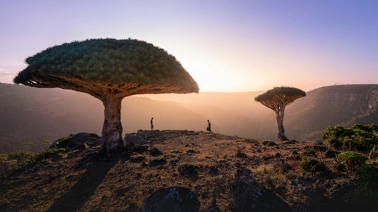 Which Place Is Known As The Galapagos Of The Indian Ocean?
