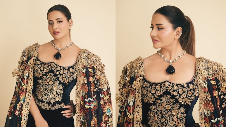In Rs 142 Crore Necklace, Hyderabad Billionaire Sudha Reddy Dazzles At Met Gala