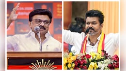 "MK Stalin Persuaded Allies": DMK On How Vijay Got A Majority