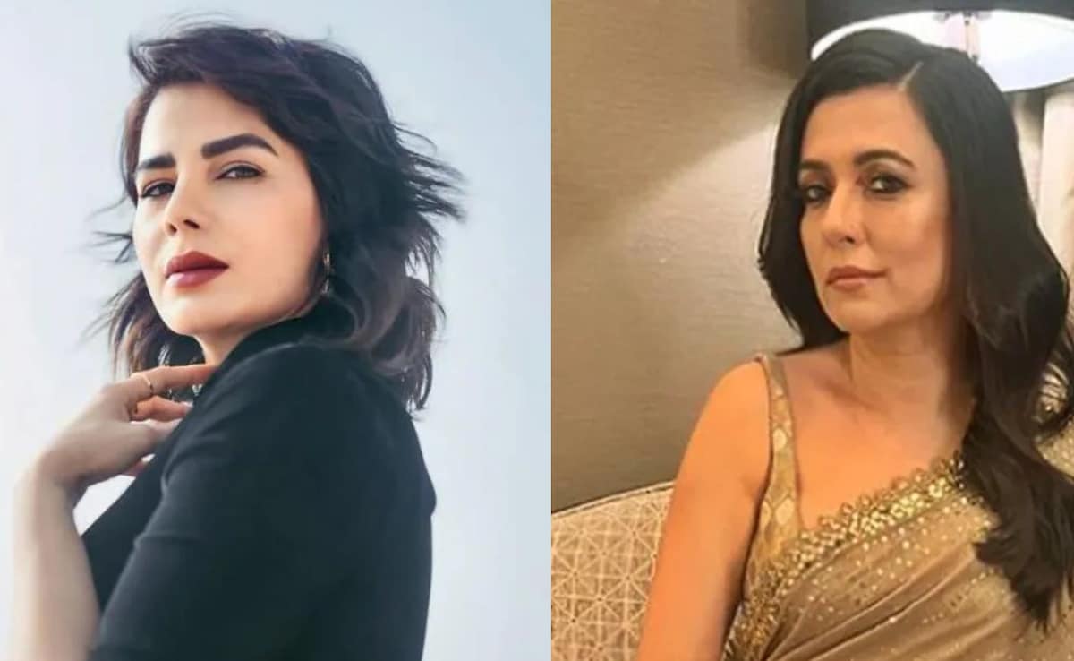 Kirti Kulhari's 'Rs 10,000 For 2 Hours A Month' Comment Sparks Debate On Domestic Help Pay, Mini Mathur Reacts