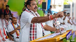 'Wagging Your Tails At Ruling Party': AIADMK's Sharp Jab As Rebels Inch To TVK